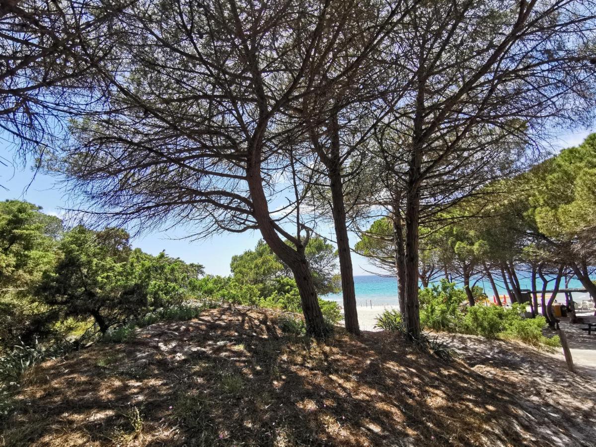 Alghermanzoni Alghero Luaran gambar